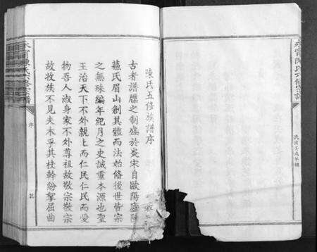 江西陈氏族谱-永宁陈氏六修宗谱.pdf电子版预览图5