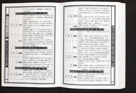 江西陈氏族谱-汀州庄江西义宁州光远堂支系谱.pdf电子版预览图5