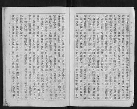 湖南戴氏族谱-戴氏七续支谱[10卷].pdf电子版预览图5