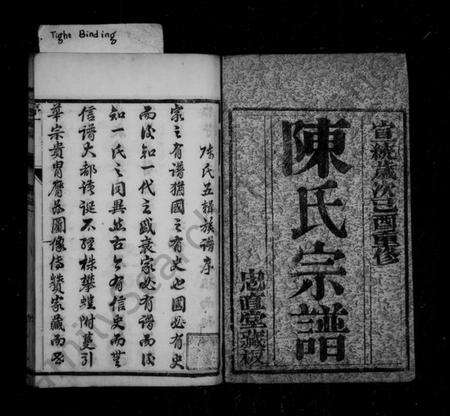 江苏陈氏族谱-陈氏宗谱 [6卷].pdf电子版预览图2