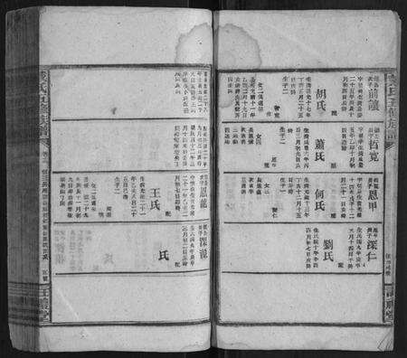 湖南戴氏族谱-戴氏五修族谱[20卷].pdf电子版预览图5