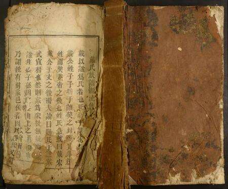 湖南戴氏族谱-戴氏族谱.pdf电子版缩略图