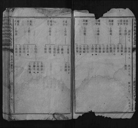 江西陈氏族谱-石城陈坊陈氏族谱.pdf电子版预览图2