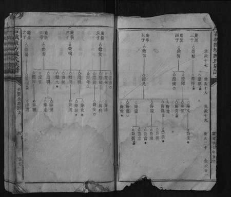 江西陈氏族谱-石城陈坊陈氏族谱.pdf电子版预览图3