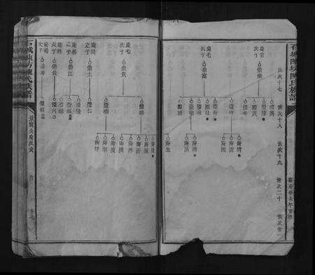 江西陈氏族谱-石城陈坊陈氏族谱.pdf电子版预览图5