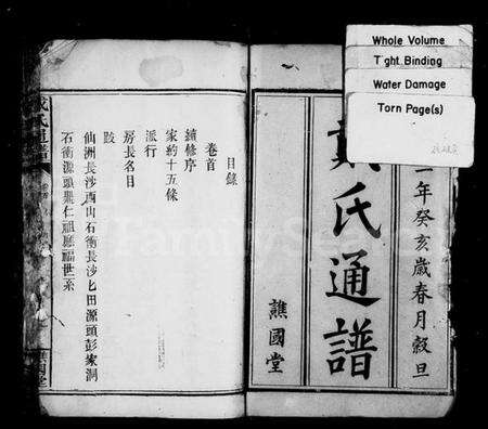 湖南戴氏族谱-戴氏通谱 [14卷,首1卷].pdf电子版预览图2