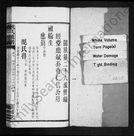 湖南戴氏族谱-戴氏通谱 [39卷].pdf电子版预览图1