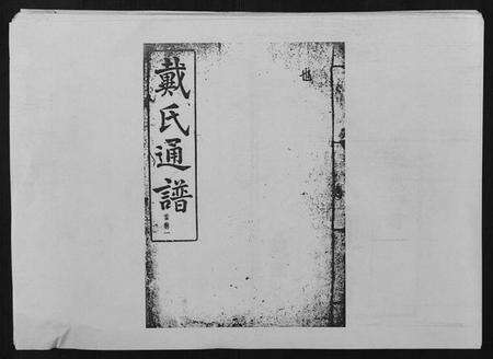 湖南戴氏族谱-戴氏通谱世系 [世系12卷,世编78卷,首4卷].pdf电子版缩略图