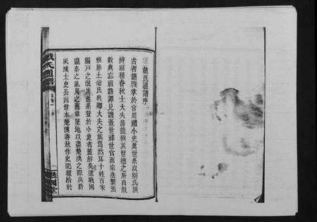 湖南戴氏族谱-戴氏通谱世系 [世系12卷,世编78卷,首4卷].pdf电子版预览图2