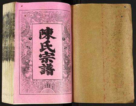 江西陈氏族谱-颖川陈氏宁都金酋公璜溪武溪联修族谱.pdf电子版预览图1