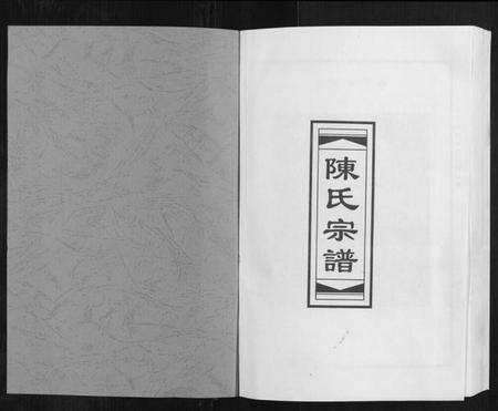 江苏陈氏族谱-阜宁陈氏北门九修宗谱.pdf电子版预览图1