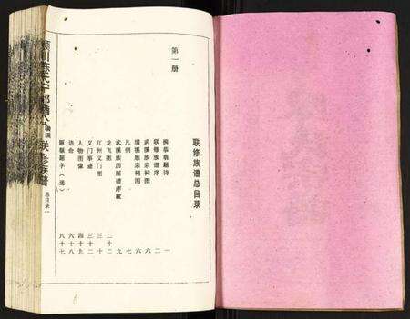 江西陈氏族谱-颖川陈氏宁都金酋公璜溪武溪联修族谱.pdf电子版预览图2