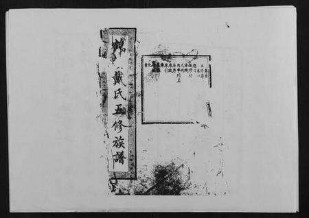 湖南戴氏族谱-鹤岭戴氏.pdf电子版缩略图