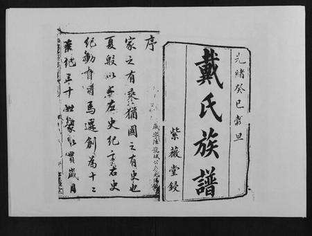 湖南戴氏族谱-鹤岭戴氏.pdf电子版预览图1