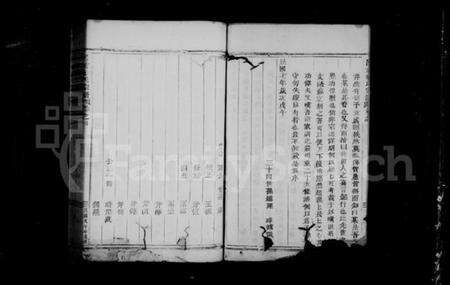 浙江金氏族谱-吕前金氏宗谱 [12卷].pdf电子版预览图2