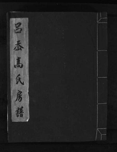 浙江高氏族谱-吕岙高氏房谱 [不分卷].pdf电子版缩略图