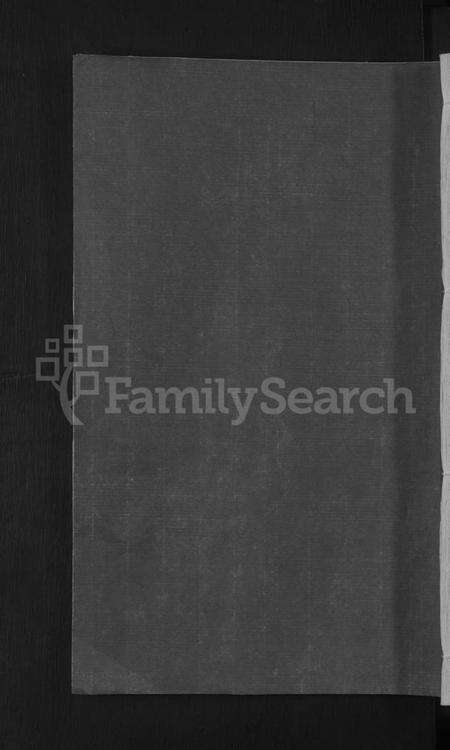 江西陈氏族谱-义门陈氏家乘 [不分卷].pdf电子版缩略图