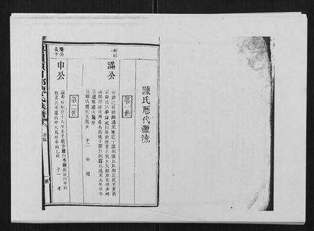 江西陈氏族谱-兴国颍川郡陈氏族谱.pdf电子版预览图1