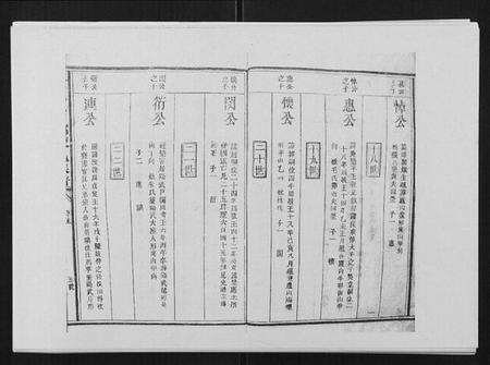 江西陈氏族谱-兴国颍川郡陈氏族谱.pdf电子版预览图5