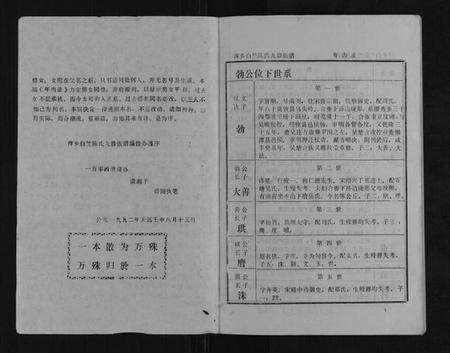 江西陈氏族谱-萍乡白竺陈氏九修族谱.pdf电子版预览图1