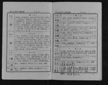 江西陈氏族谱-萍乡白竺陈氏九修族谱.pdf电子版预览图2