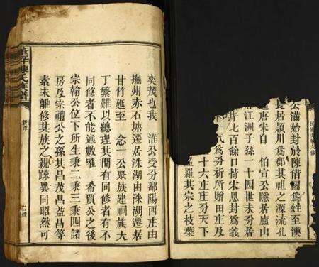 江西陈氏族谱-董坪陈氏族谱.pdf电子版预览图1