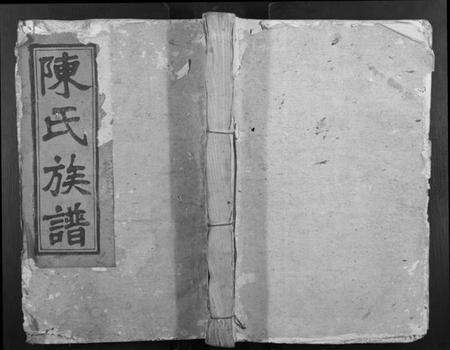 江西陈氏族谱-董坪陈氏族谱[不分卷].pdf电子版缩略图