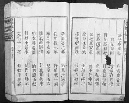 江西陈氏族谱-董坪陈氏族谱[不分卷].pdf电子版预览图2