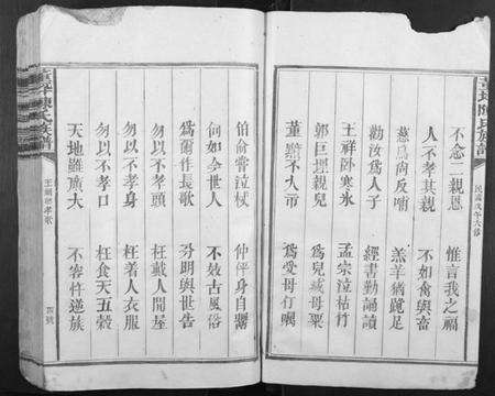 江西陈氏族谱-董坪陈氏族谱[不分卷].pdf电子版预览图4