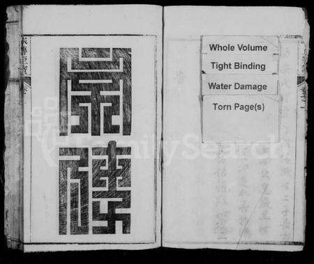 江西陈氏族谱-赣江上游陈氏首届联修族谱.pdf电子版预览图1