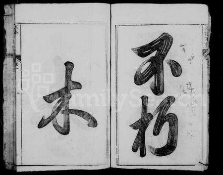 江西陈氏族谱-赣江上游陈氏首届联修族谱.pdf电子版预览图3