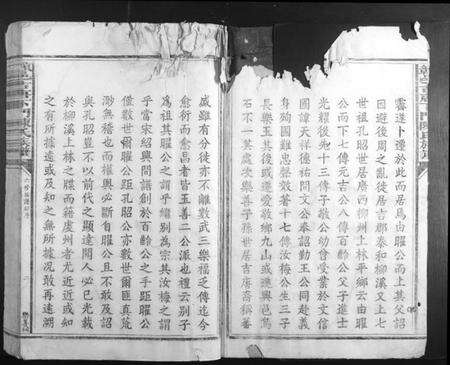 江西陈氏族谱-赣邑吉唐下门陈氏族谱.pdf电子版预览图2