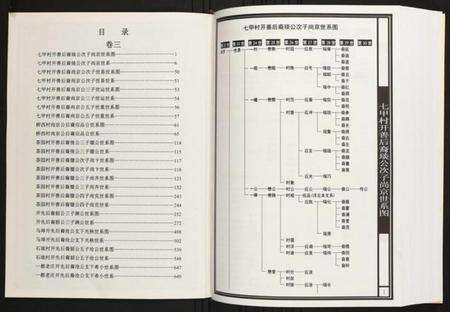 江西陈氏族谱-赤土官庄江西高安石脑安溪族谱.pdf电子版预览图2