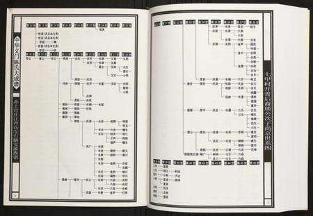 江西陈氏族谱-赤土官庄江西高安石脑安溪族谱.pdf电子版预览图3