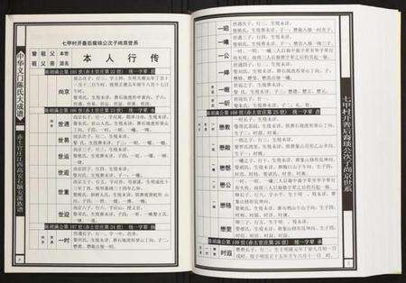 江西陈氏族谱-赤土官庄江西高安石脑安溪族谱.pdf电子版预览图5