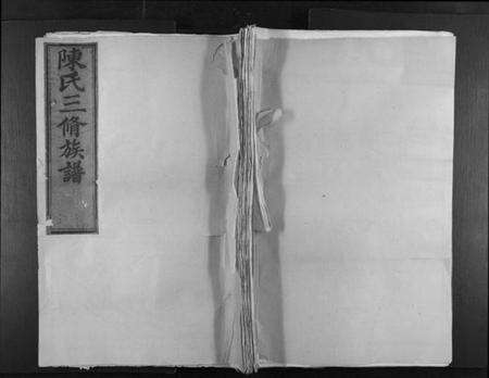 江西陈氏族谱-陈氏六修族谱.pdf电子版缩略图