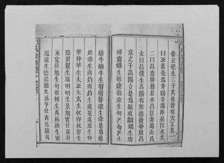 江西陈氏族谱-陈氏宗谱 [29卷首1卷].pdf电子版预览图2