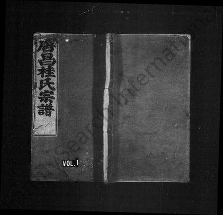 浙江桂氏族谱-唐昌桂氏宗谱 [4卷].pdf电子版缩略图