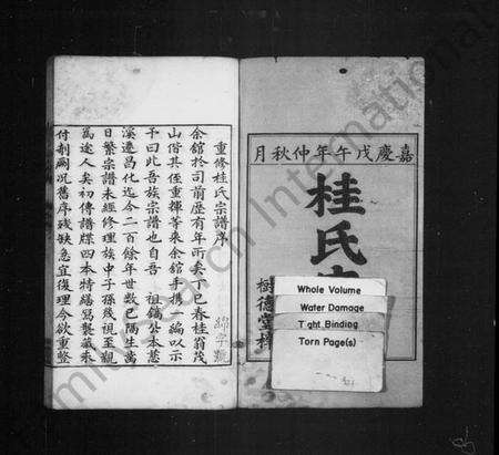 浙江桂氏族谱-唐昌桂氏宗谱 [4卷].pdf电子版预览图1