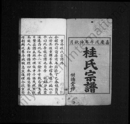 浙江桂氏族谱-唐昌桂氏宗谱 [4卷].pdf电子版预览图3