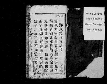 湖南邓氏族谱-邓氏续修支谱 [4卷,含卷首].pdf电子版预览图2