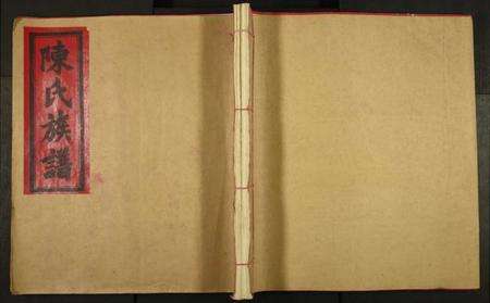 江西陈氏族谱-陈氏族谱信丰陈嘉公派下七修玉牒.pdf电子版缩略图