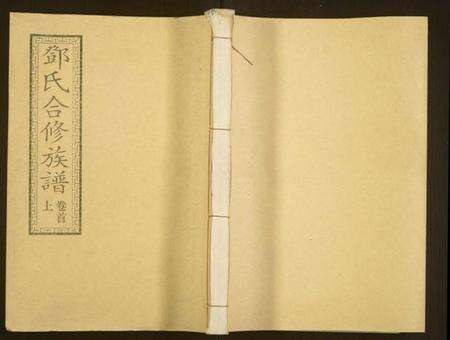 湖南邓氏族谱-醴东邓氏祠合修族谱.pdf电子版缩略图