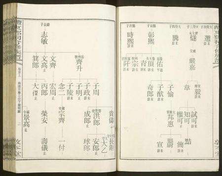 湖南邓氏族谱-醴东邓氏祠合修族谱.pdf电子版预览图2