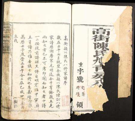 江西陈氏族谱-高街陈氏旭高八房家谱.pdf电子版预览图1