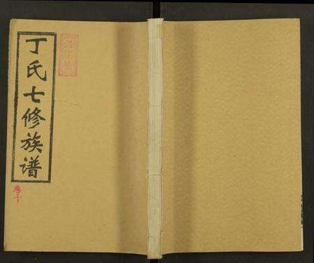 湖南丁氏族谱-丁氏七修族谱 [20卷].pdf电子版缩略图