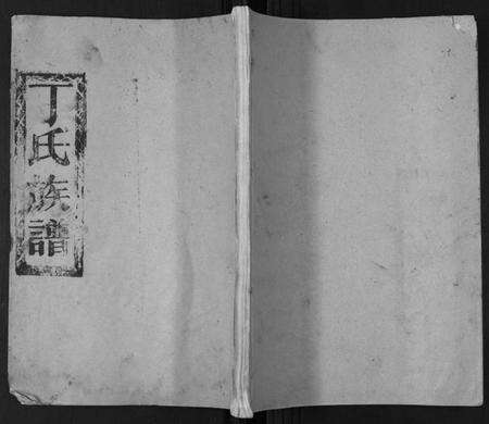 湖南丁氏族谱-丁氏族谱.pdf电子版缩略图