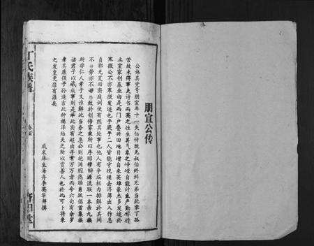 湖南丁氏族谱-丁氏族谱.pdf电子版预览图1