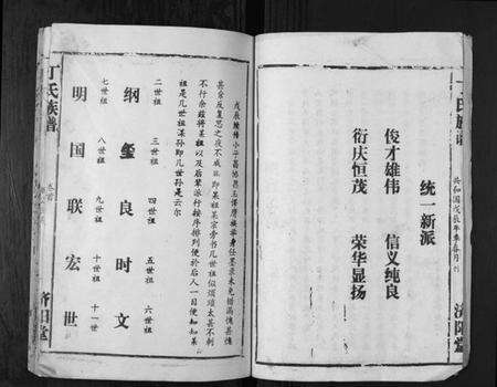 湖南丁氏族谱-丁氏族谱.pdf电子版预览图2