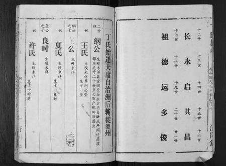 湖南丁氏族谱-丁氏族谱.pdf电子版预览图3